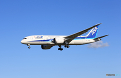 「群青」ANA 787-8 JA828A 着地前 