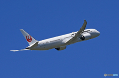 「良い空～」JAL 787-9 JA871J 飛行 