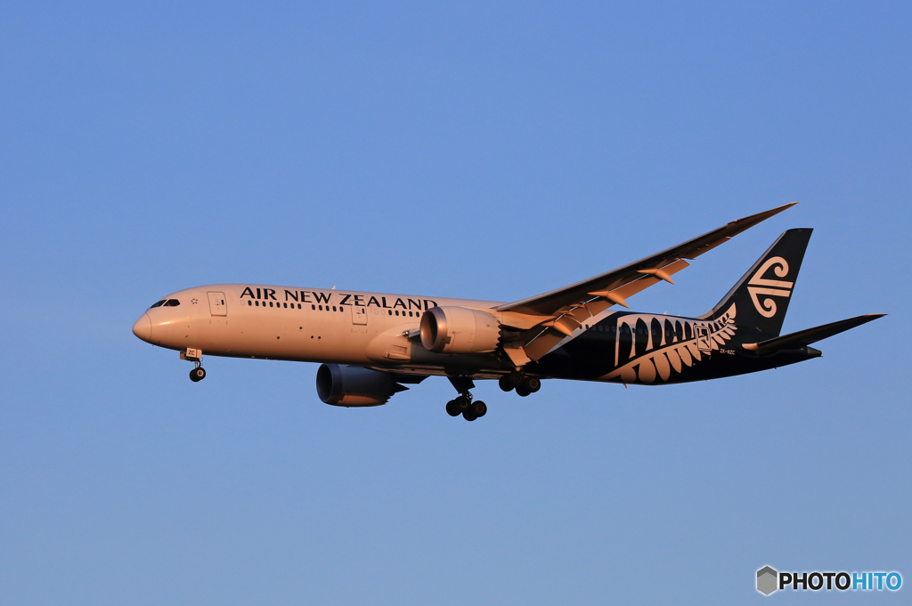 「青色が好き」 Air New Zealand B787-9 到着