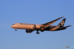 「青色が好き」 Air New Zealand B787-9 到着