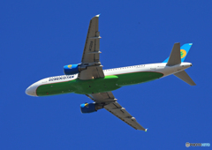 「スカイ」 Uzbekistan A320-214  Takeoff 
