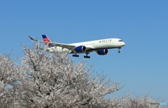 「さくら」 Delta A350-941 N513DZ 到着です