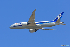 「青色が好き」 ANA 787-8  ☮Takeoff 