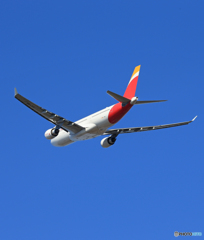 「ブルー」 IBERIA A330-202 EC-MKJ 飛び立ち