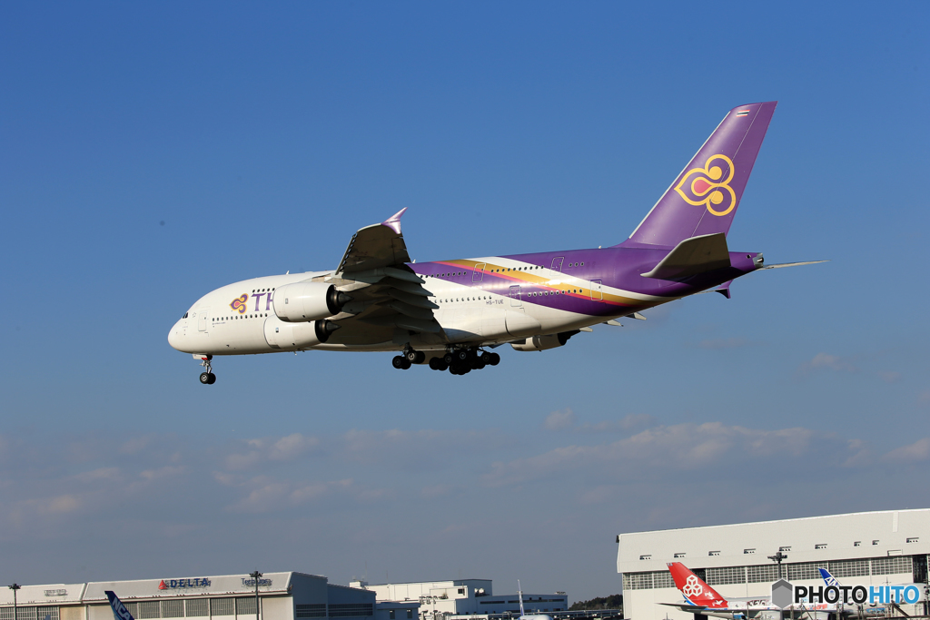 「真青の空」THAI A380-841 HS-TUA 着陸