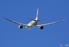 ☀「青い空」が一番 JAL 787-9 JA870J ☮