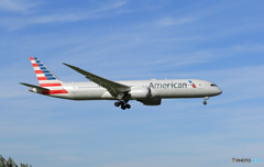 「SKY」 American 787-9 N821AN Landing