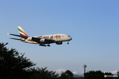 「すかい」 エミレーツ動物愛護機A380-861 Landing 