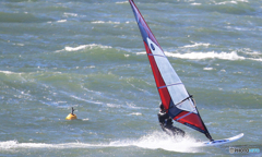 「青色が好き」これって    一年中だよねぇ~