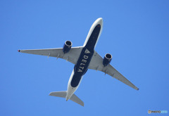 「クール」DELTA A330-941  飛行中