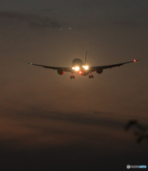  「晴れ」JAL 787 シルエット  Landing
