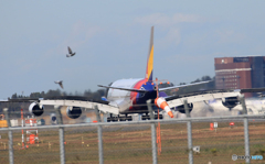 「群青」 あ! 危ない A380　着地