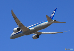 「あおぞら」 ANA 787-8 JA871A 離陸