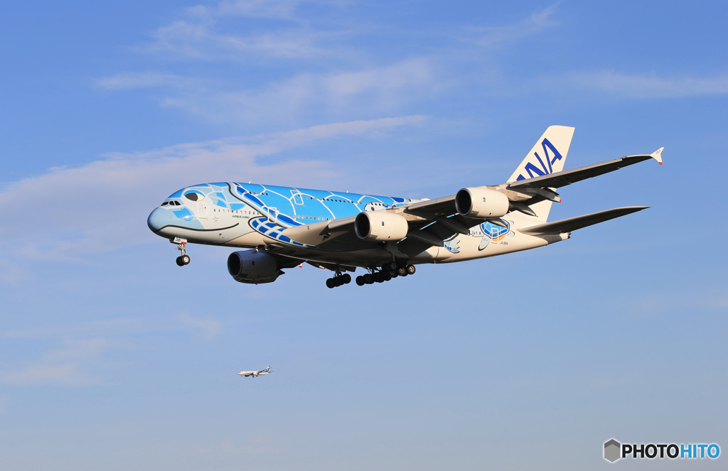 「青が大好き」ANA A380-841 JA381A 着陸