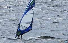 「良い空～」良い風を友に