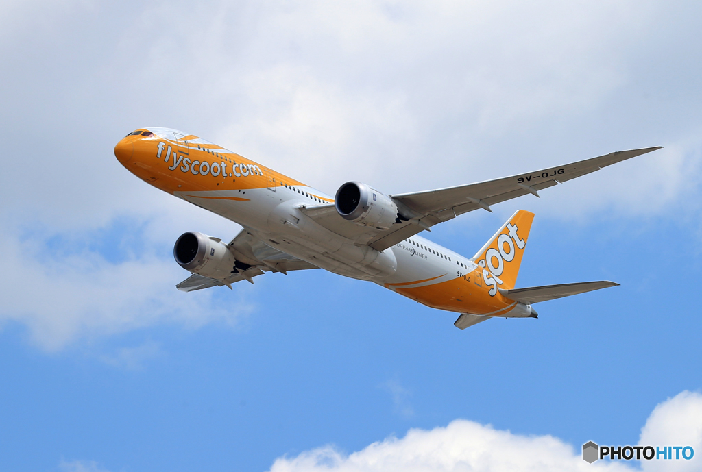 「すかい」 scoot 787-9 9V-OJG 飛ぶ