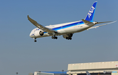 「SKY」 ANA 787-9 JA891A 到着