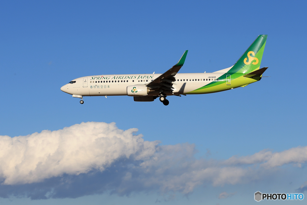「あおいそら」 春秋航空 737-8AL JA04GR 到着