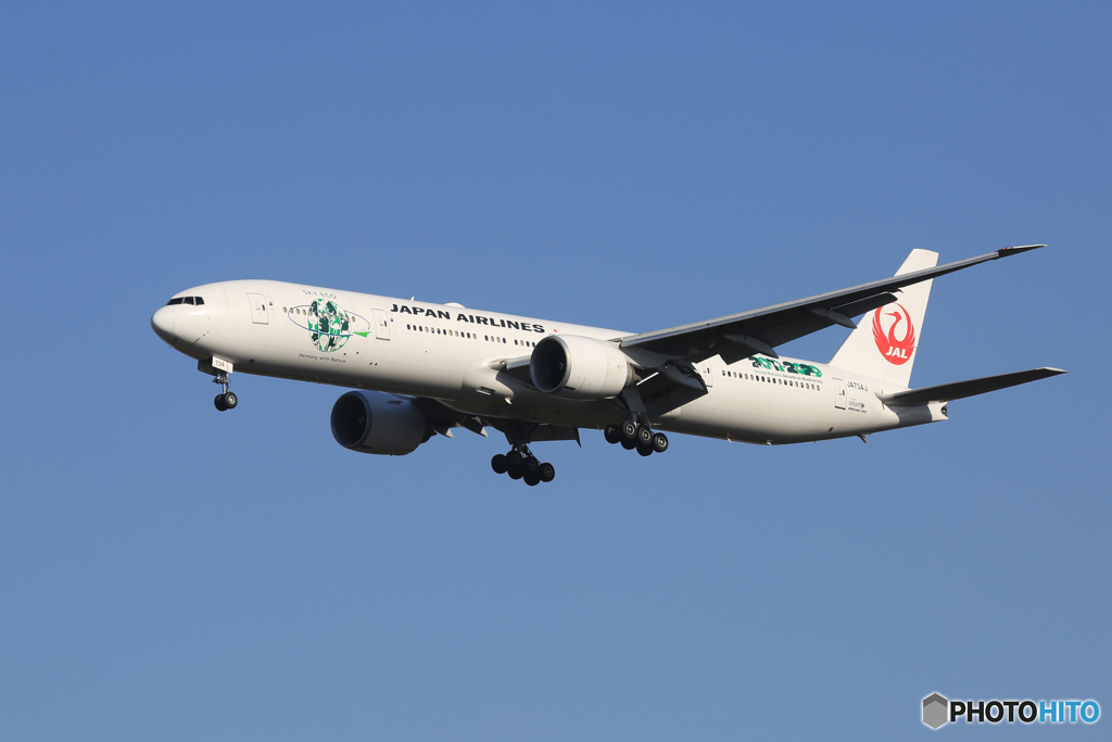  「晴れ」ジャルエコジェット７７７-346到着