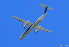 「そらー」 ANA ボンバルDHC-8-400 JA850A 飛行