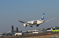 「群青」 ANA 787-8 JA873A 到着