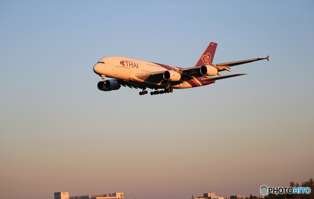 「青が大好き」Thai A380-841 HS-TUD 着陸