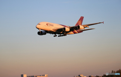 「青が大好き」Thai A380-841 HS-TUD 着陸