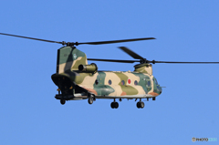 「青が好き」　☮　C H - 4 7 J  チヌーク　☮拡大可