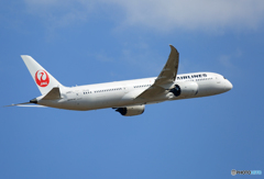「青い空」が一番 JAL 787-9 JA867J 出発 