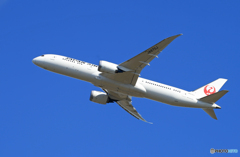 「Blue」 JAL 787-9 JA870J 飛んだ