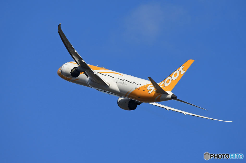 「青い日」scoot 787-9  9V-OJD Takeoff