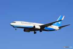 「青空」厦門航空 737-800 B-1708 Landing