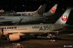 「曇り」　夜の部・そろそろ出発ですね、A350