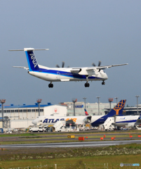 「すかい」 ANA DHC-8-400 JA848A Landing