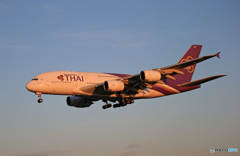 「Blue」タイ A380-841 HS-TUD  着陸です