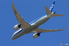 「良い天気」　ANA 787-8 JA827A Takeoff 