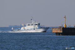 「クール」　東 京 湾 の 船・検 疫 船