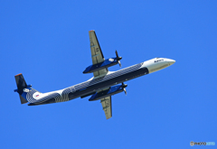 「青い空」が一番Auroraボンバル DHC-8-402Q Takeoff