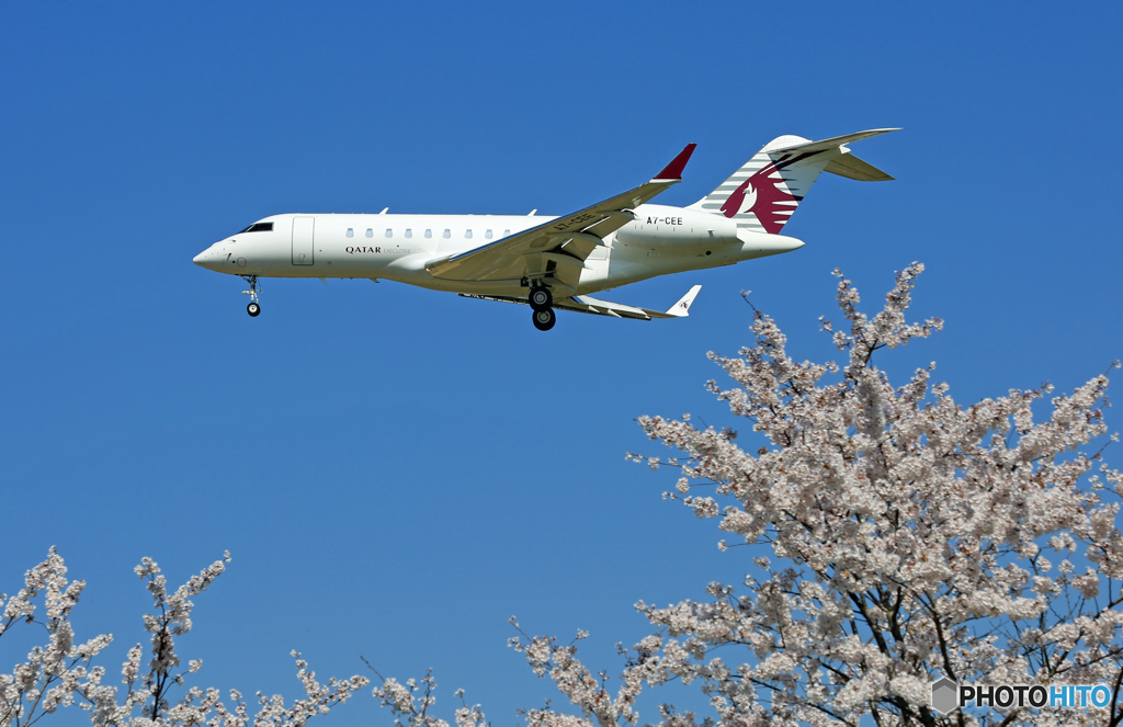 「良い空～」桜とカタール☮ Bombardier BD-700 A7-CEE☮