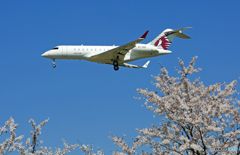 「良い空～」桜とカタール☮ Bombardier BD-700 A7-CEE☮