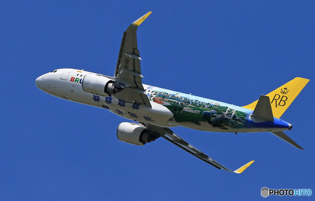「蒼空」ロイヤルブルネイ王国 A320-251飛び立ちです