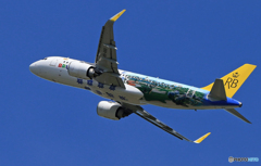 「蒼空」ロイヤルブルネイ王国 A320-251飛び立ちです