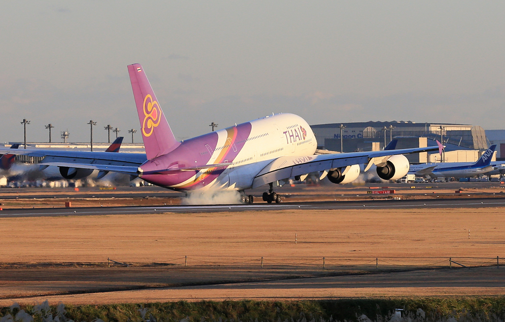 「青が好き」 Thai A380-841 HS-TUF Landing 
