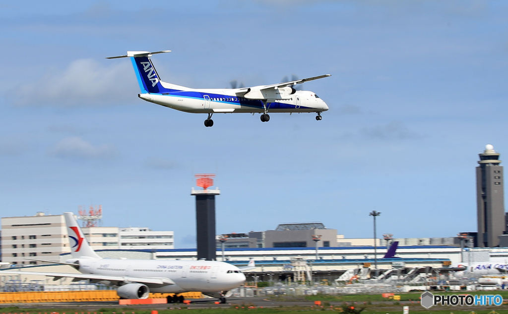 「群青」 ANA DHC-8-400 JA842A 飛ぶ