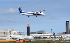 「群青」 ANA DHC-8-400 JA842A 飛ぶ