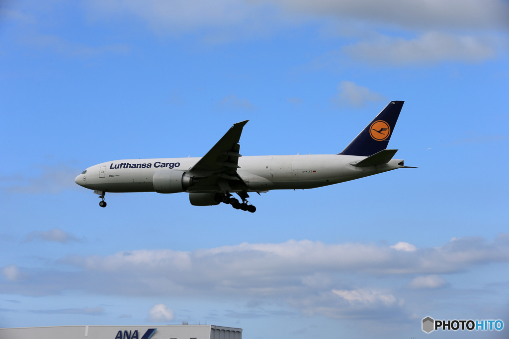 [青い空]　Lufthansa 777 D-ALFD 到着