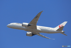 「蒼空」JAL 787-8 JA836J  出発です ☀