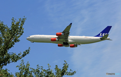 「ぶるー」 SAS A340-313 OY-KBI 離陸
