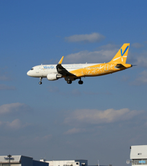 「すかい」 バニラ未だ撮れますA320 着陸