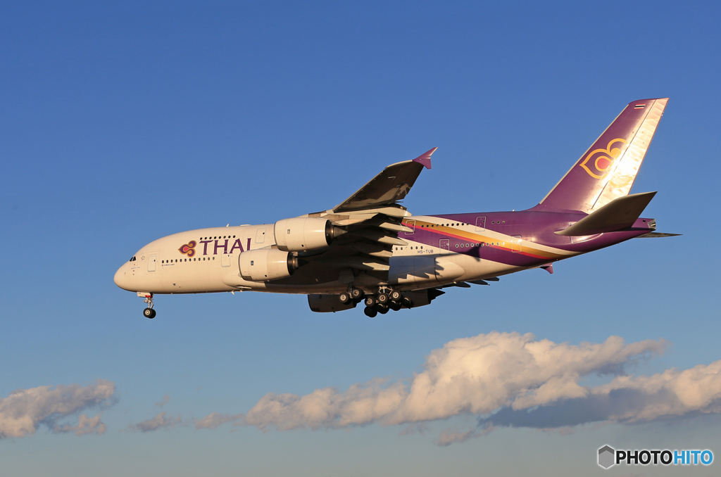 「青色」 THAI A380-841 HS-TUB Landing 